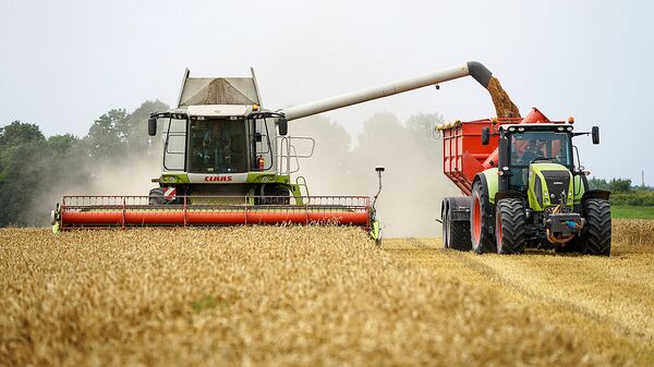 Уборка пшеницы - Sputnik Латвия