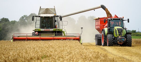 Уборка пшеницы Уборка пшеницы - Sputnik Latvija