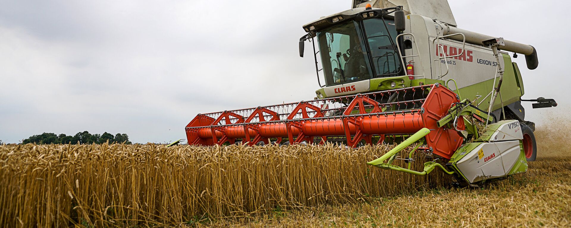 Комбайн на уборке пшеницы - Sputnik Латвия, 1920, 05.08.2025