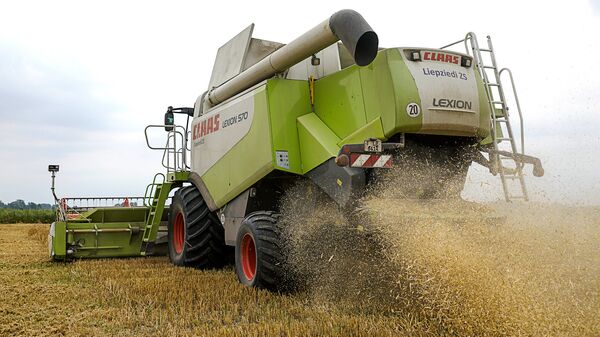 Рубленная солома после очистки зерновой массы выпадает с обратной стороны комбайна - Sputnik Латвия