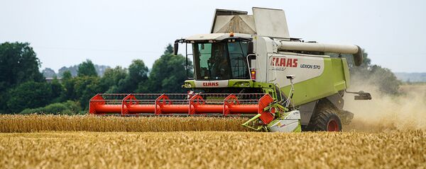 Darbi laukos - Sputnik Latvija