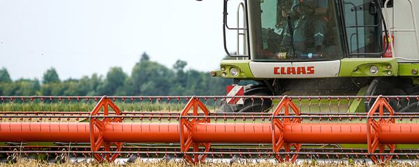 Kombains kviešu laukā Kombains kviešu laukā - Sputnik Latvija