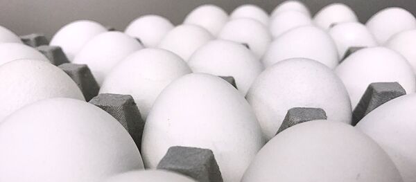 Olās Olās - Sputnik Latvija