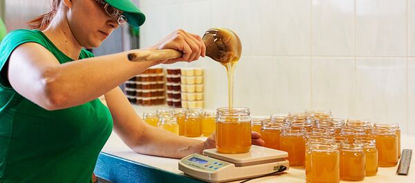 Готовый мед заботливые руки аккуратно разливают по баночкам Готовый мед заботливые руки аккуратно разливают по баночкам - Sputnik Латвия