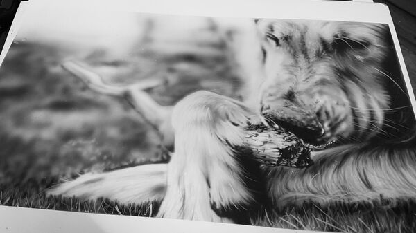 Работы Александра - Sputnik Латвия