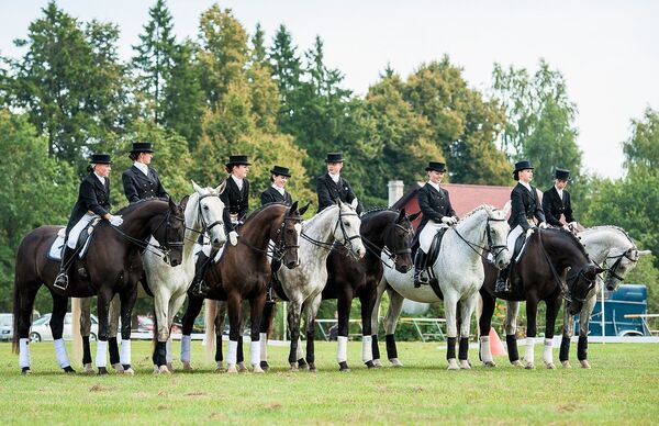 Лошади Латвии – прежде и теперь Лошади Латвии – прежде и теперь - Sputnik Латвия