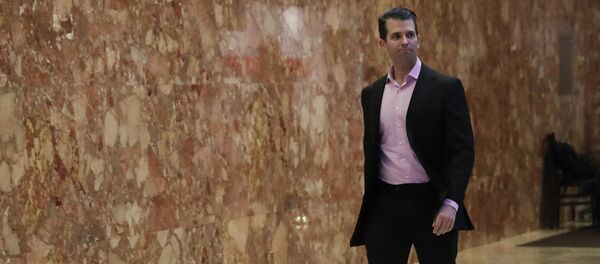 Дональд Трамп-младший, сын избранного президента США Дональд Трамп-младший, сын избранного президента США - Sputnik Latvija