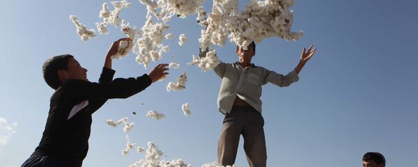 Сбор хлопка - Sputnik Латвия