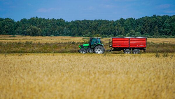 Сельское хозяйство основной вид деятельности в Айзпуте - Sputnik Латвия
