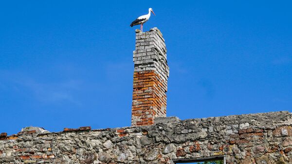 На развалинах замка живут только аисты - Sputnik Латвия