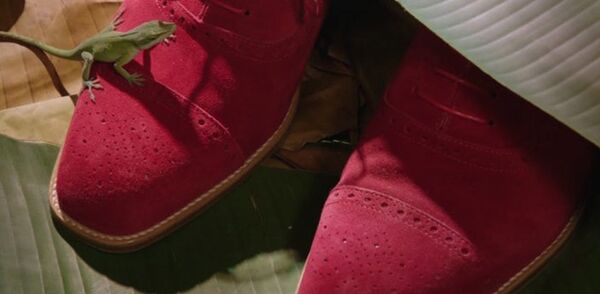 Manolo: мальчик, который делал обувь для ящериц Manolo: мальчик, который делал обувь для ящериц - Sputnik Латвия