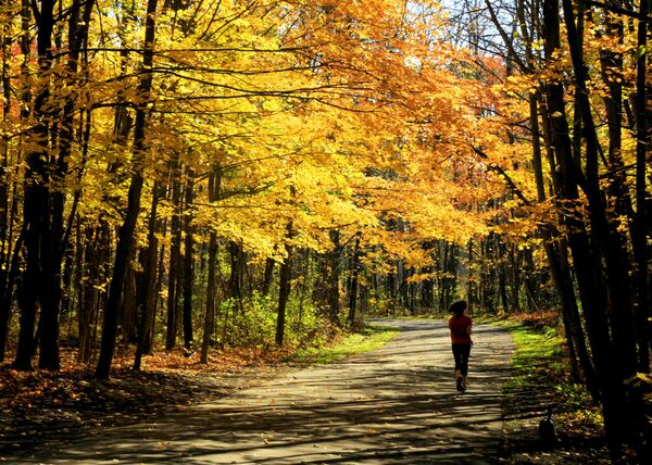 Бег Бег - Sputnik Latvija