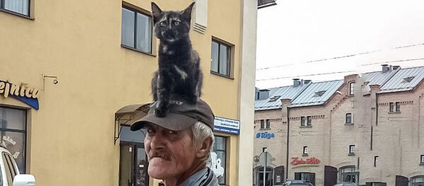 Vīrietis ar kaķi uz galvas Vīrietis ar kaķi uz galvas - Sputnik Latvija