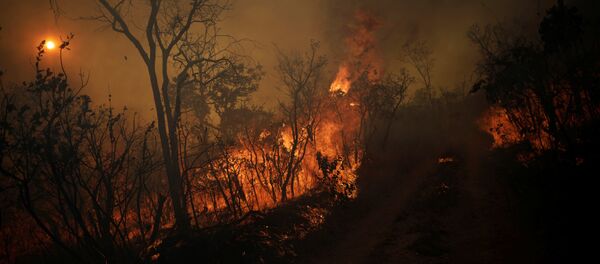 Ugunsgrēks Ugunsgrēks - Sputnik Latvija