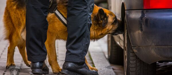 Полиция провела учения по освобождению заложников в центре Риги - Sputnik Латвия