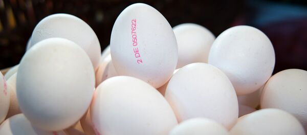 Яйца - Sputnik Латвия