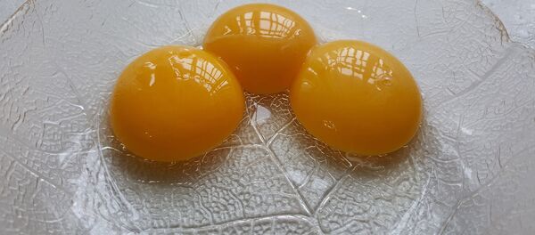 Яичный желток Яичный желток - Sputnik Latvija