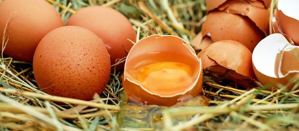 Яйца - Sputnik Латвия