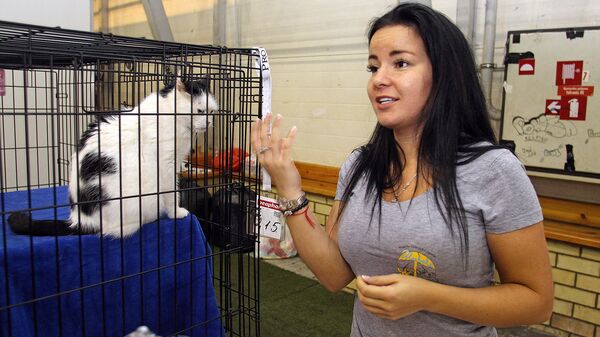 Коты из приюта для животных Улубеле ищут хозяев - Sputnik Латвия