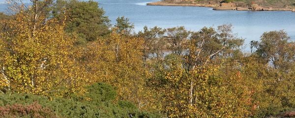 Аландские острова - Sputnik Latvija