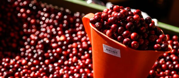 Латвийская клюква Латвийская клюква - Sputnik Латвия