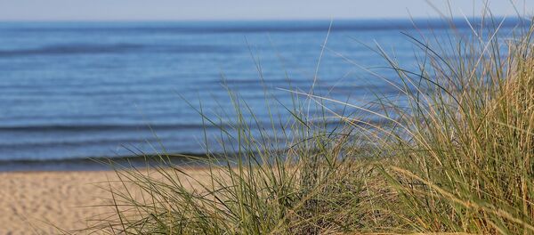 Pludmale Pludmale - Sputnik Latvija