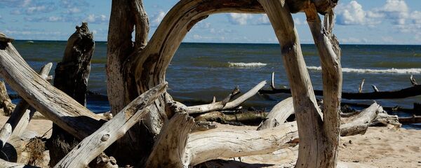 Побережье Балтийского моря - Sputnik Latvija