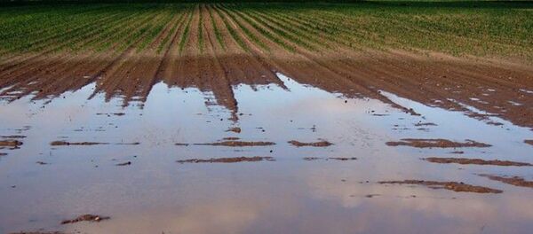 Поле залитое водой Поле залитое водой - Sputnik Латвия