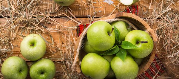 День яблок в Добеле - Sputnik Latvija