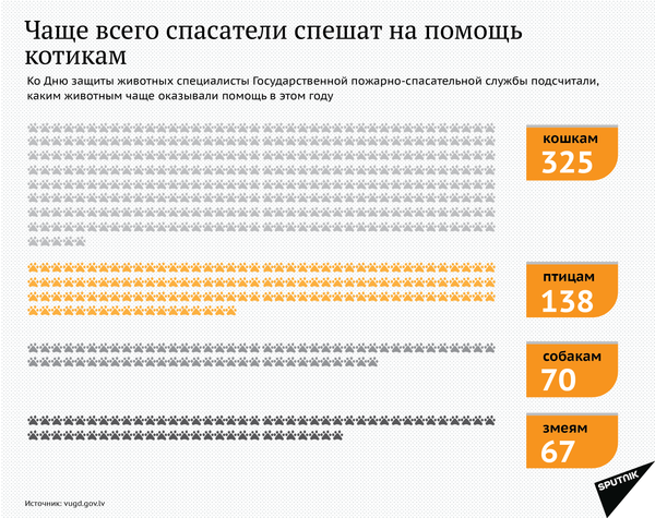Чаще всего спасатели спешат на помощь котикам - Sputnik Латвия