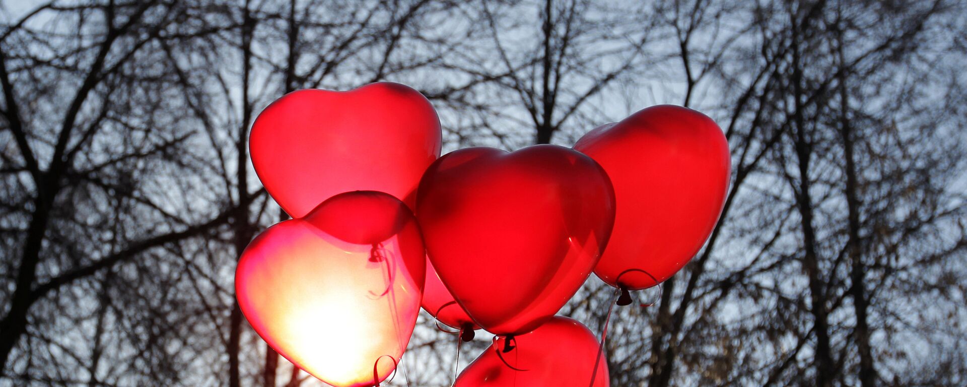 Празднование Дня святого Валентина - Sputnik Латвия, 1920, 06.10.2025