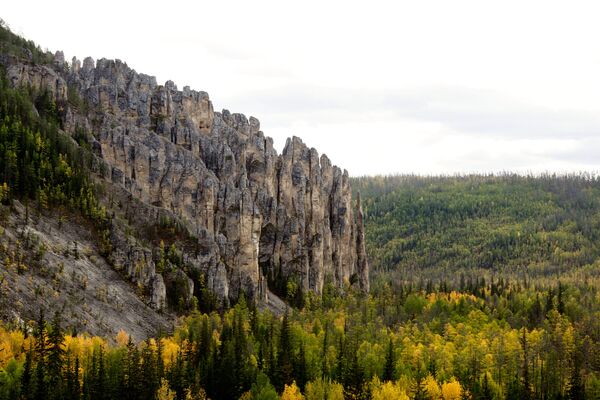 Национальный природный парк Ленские столбы в Якутии - Sputnik Latvija