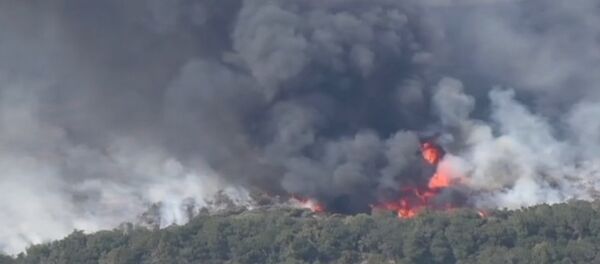 Съемка с воздуха природного пожара в Калифорнии - Sputnik Латвия