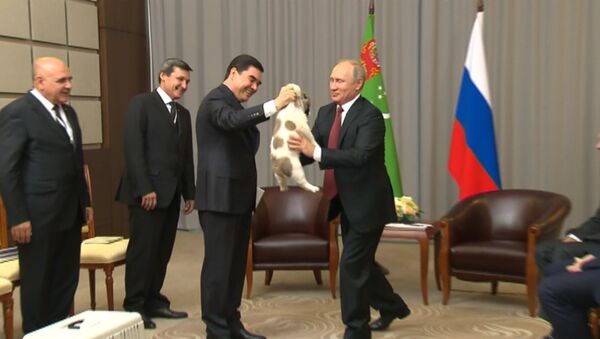 Гурбангулы Бердымухамедов подарил Путину щенка алабая - Sputnik Латвия