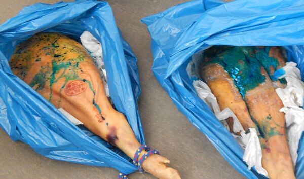 В пограничном пункте пропуска Убылинка Псковской области пресечен ввоз 16 кг хамона В пограничном пункте пропуска Убылинка Псковской области пресечен ввоз 16 кг хамона - Sputnik Латвия