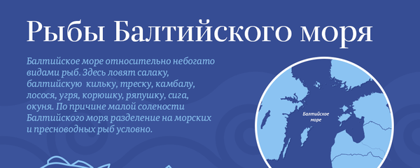 Рыбы Балтийского моря - Sputnik Латвия