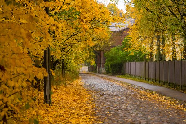 Zelta rudens Rīgas ielās - Sputnik Latvija