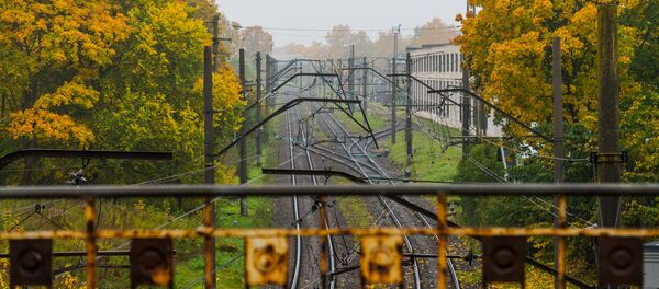 Золотая осень на рижских улицах - Sputnik Латвия