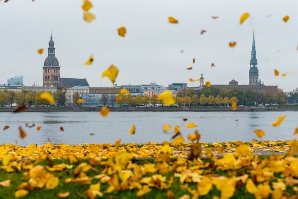 Zelta rudens Rīgas ielās - Sputnik Latvija