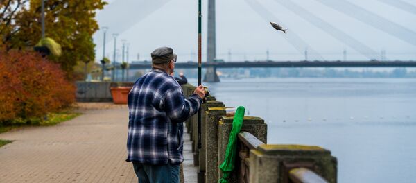 Золотая осень на рижских улицах Золотая осень на рижских улицах - Sputnik Латвия