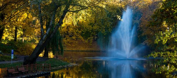 Золотая осень на рижских улицах Золотая осень на рижских улицах - Sputnik Latvija