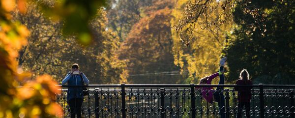 Золотая осень на рижских улицах - Sputnik Латвия