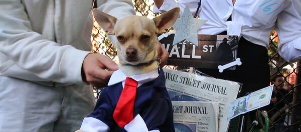 Собачий Хеллоуин в Нью-Йорке - Sputnik Латвия