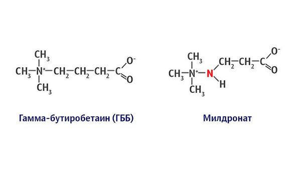 Отличие молекулы милдроната от гамма-бутиробетаина (ГББ) - Sputnik Латвия