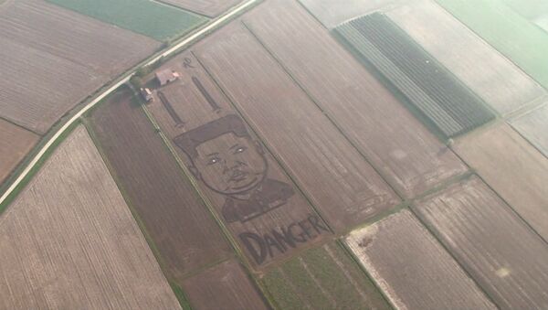 Двухсотметровый портрет Ким Чен Ына на соевом поле в Италии - Sputnik Латвия