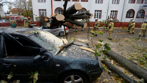 Поврежденные машины в результате падения деревьев в Германии - Sputnik Латвия