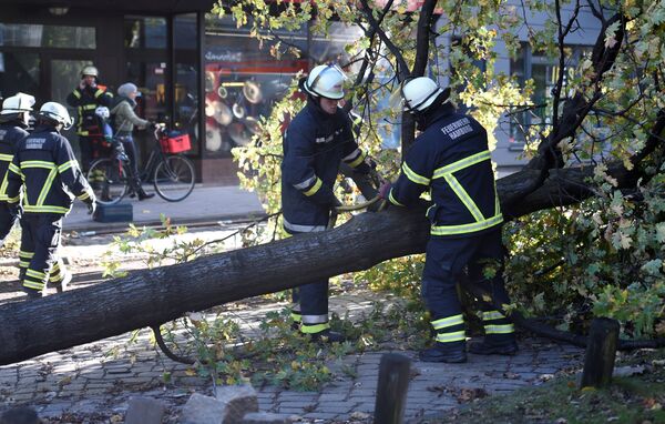 Пожарные распиливают упавшее дерево после прохождения шторма Герварт в Германии - Sputnik Латвия
