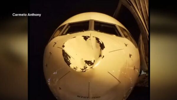 Lidmašīna ASV piezemējusies ar gigantisku nezināmas izcelsmes iespiedumu - Sputnik Latvija