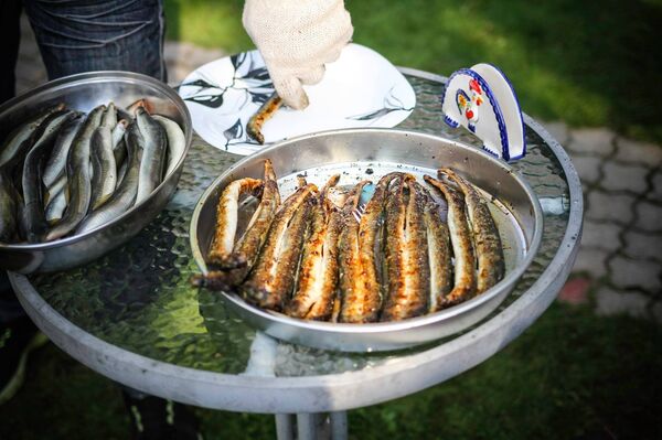 Жареная минога из Царникавы - Sputnik Латвия