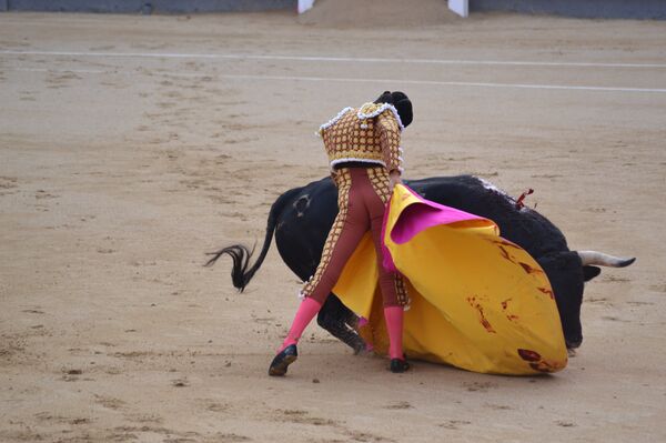 Тореро Мигель Анхель Перера - Sputnik Латвия